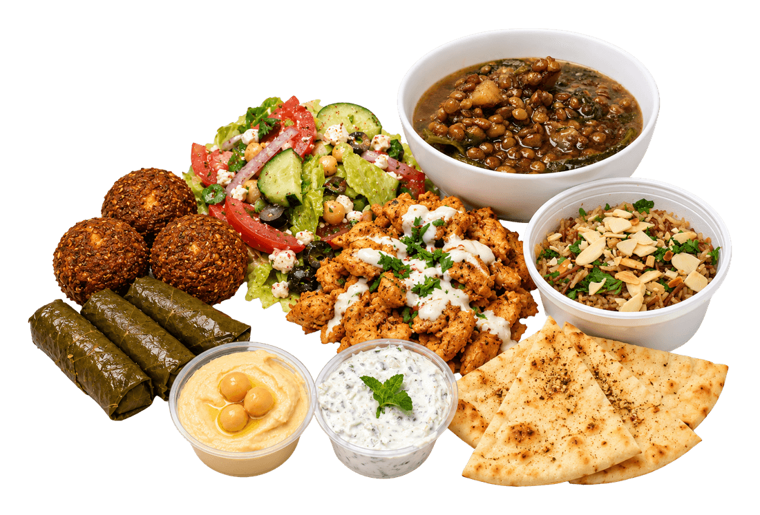 Sampler with chicken, salad, falafel, grape leaves, lentil soup, rice, hummus, tzatziki and pita.